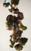 http://www.larsroedergallery.com/files/gimgs/th-13_andrew5.jpg